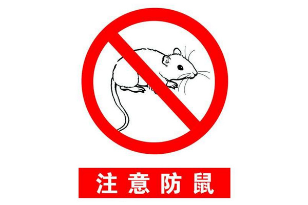 uv平板打印机的工作环境要注意防范老鼠